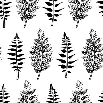 Seamless pattern with fern leaves. Hand drawn black field and forest plants background in sketchy style. Vectorized ink illustration