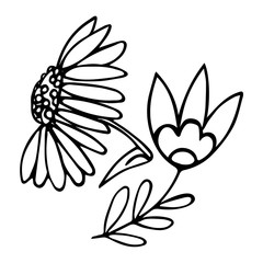 Vector coloring two doodle flowers, hand-drawn, spring sketch motive, decorative element for greeting cards, children's books. chamomile and decorative snowdrop isolated on white background outline