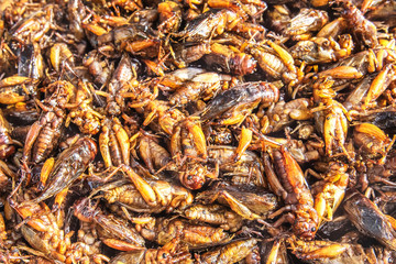 Deep-fried crickets are displayed for sale in Thailand.