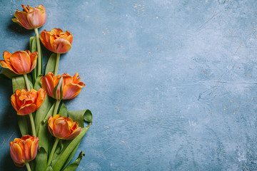 Tulips on a wooden background. Valentines day concept. International Women's Day. Mother's day.