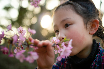 桜の花の香りを嗅ぐ少女