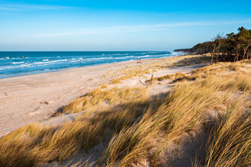 Fototapeta na wymiar Stürmischer und sonniger Wintertag an der Ostsee, Dünen und Strand, Darß