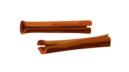 Cinnamon sticks in cartoon style, vector clip-art
