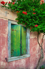 A traditional style of the wall with wooden window under the climbing tree in Venice, Italy.