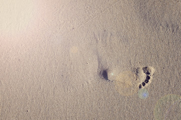 Small footprint of child  in the sand during summer holiday. Space on sand with sun. Copy space. 