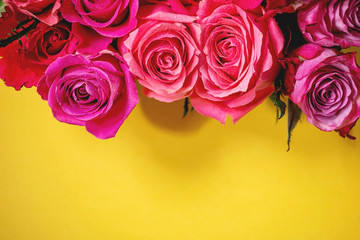 Creative layout with beautiful pink roses flowers on bright yellow background. Flat lay, close up. Greeting card concept