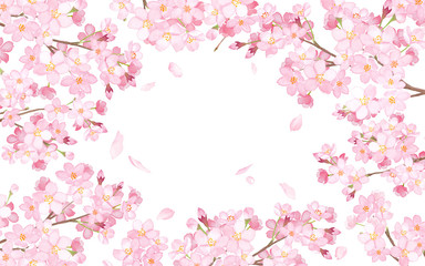 Obraz na płótnie Canvas 桜と散る花びらで囲んだフレーム　水彩イラスト