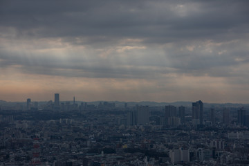 渋谷スカイからの風景