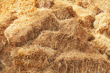 Bundles of straw for the cattle.