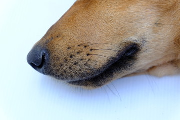 close up of a head