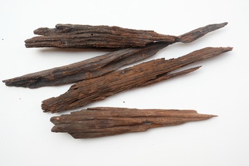 Old wood core on a beautiful white background