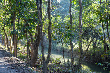 Beautiful quiet river in Chitwan National Park on Nepal