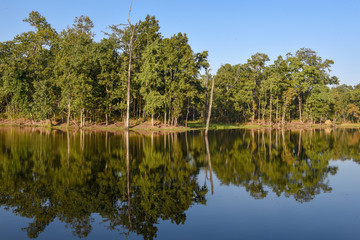 Beautiful quiet lake in Chitwan National Park on Nepal