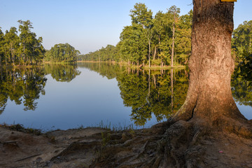 Beautiful quiet lake in Chitwan National Park on Nepal