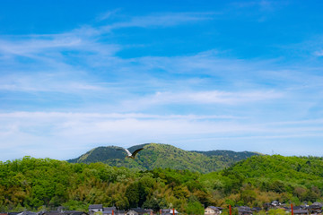 山
