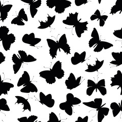 silhouettes of butterflies on a white background pattern, collection, vector