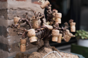 Decorative tree plant on a pot made from used wine cork. Bonsai tree made from wine cork.