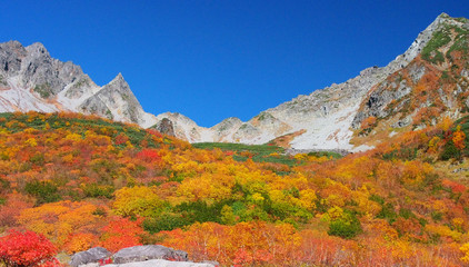 カラフルな紅葉と山【日本アルプス連峰・涸沢】
