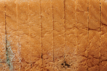 Green mould spot on bread