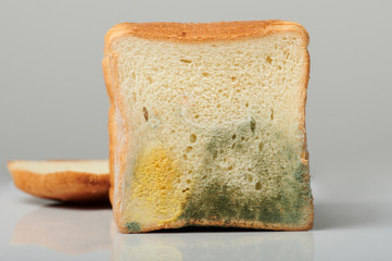 Mould on sliced bread