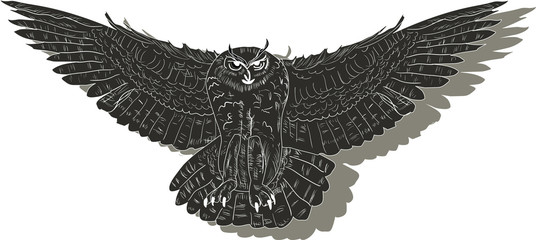 owl in flight with shadow on white illustration