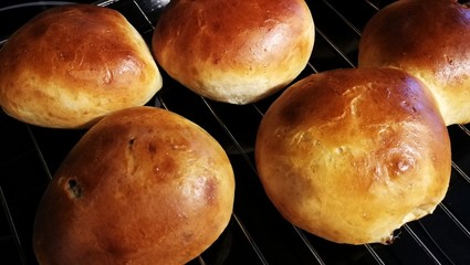 Freshly Baked Raisin Buns 