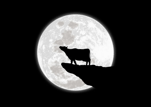 Cow Howling at Full Moon
