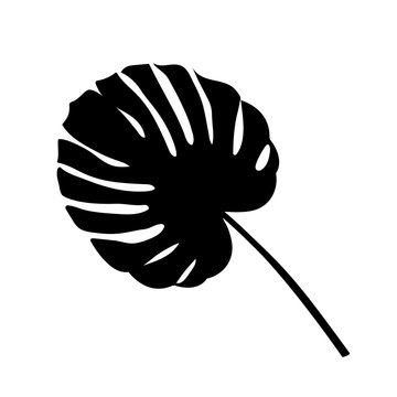 recommend clip art: Black silhouette of tropical leave palm, tree. Vector illustration