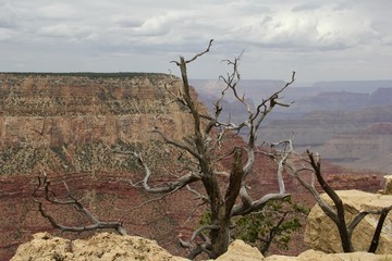 Gloomy Grand Canyon Day
