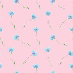 Watercolor hand drawn seamless pattern with wild meadow blue cornflower flowers isolated on pink background. Good for textile, wrapping paper, background, design etc.