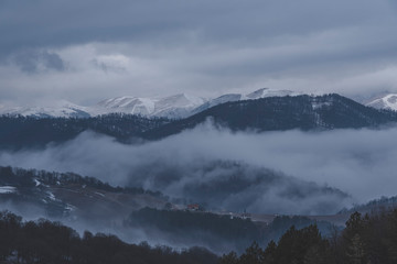 Beautiful morning  panoramic landscape. Mountains and forest in the fog.