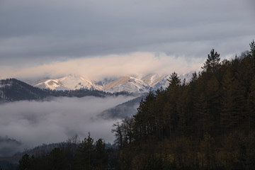 Beautiful morning  panoramic landscape. Mountains and forest in the fog.
