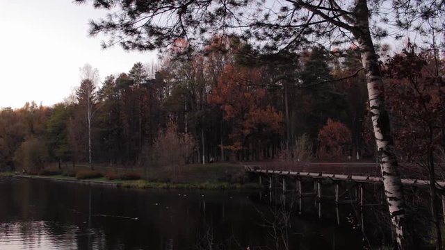 Duck floating on the lake in autumn time, Belarus. Fall season with leaves
