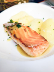 Grilled Salmon with fresh lettuce and mash potatoes