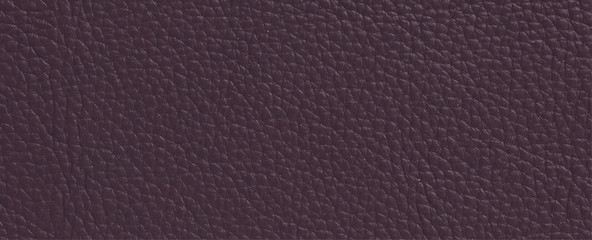 luxury violet leather skin texture background