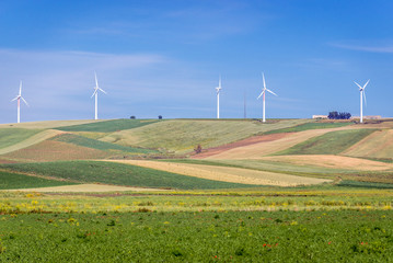 Fototapeta premium Landscape with wind farm in Trapani Province of Sicily autonomous region in Italy