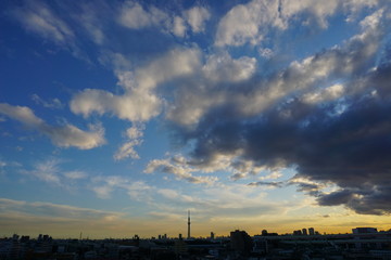 Fototapeta na wymiar 東京の夕暮れの景色