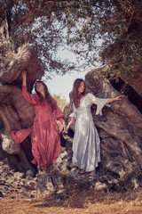 Fototapeta na wymiar Two girls in beautiful dresses on a background of an old olive tree