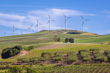 Landscape with wind farm in Trapani Province of Sicily autonomous region in Italy