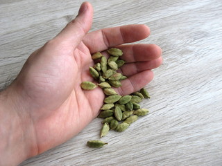 Naklejka na ściany i meble Dried green organic cardamom pods on male hand on wooden background. Close up.