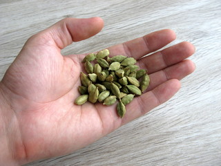 Naklejka na ściany i meble Close up of green cardamon seeds on male hand with wooden background.