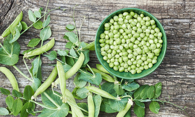 Peas in a bowl with fresh cut plant leaf nearby and bean pods on wooden rustic textured background,...