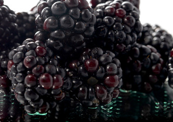 Blackbery closeup macro look isolated on white background