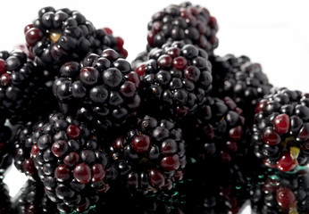 Blackbery closeup macro look isolated on white background