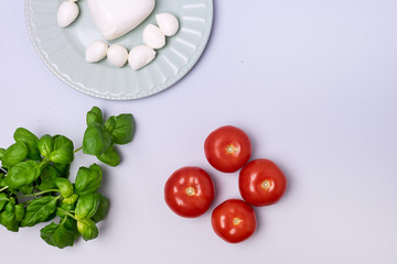 Potted Ripe Basil Plate of Mozarella Cheese Ripe Tomatoes on Blue Background Ingredient for Caprese Salad Italian Top View Flat Lay