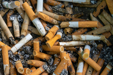 Picture of used cigarette butts in a dump