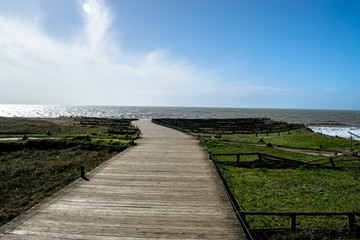 Fototapeta premium view of the path that leads to the devil's hole and the ocean, in the town of Saint-Hilaire-de-Riez, department of Vendée, France.
