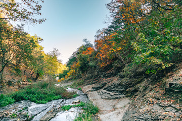 Colorful forest of National Botanical Garden of Georgia in Tbilisi, Georgia.