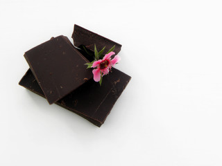 pieces of dark chocolate on a white background