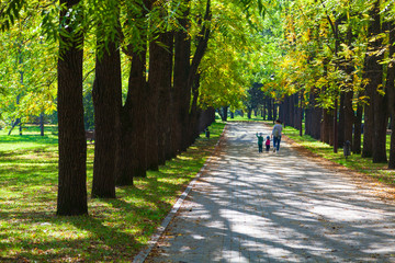 Shady alleys in the Botanical Garden of the city of Krasnodar
